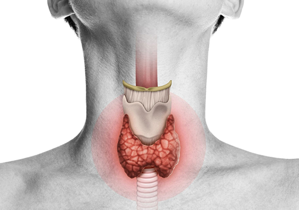 thyroid